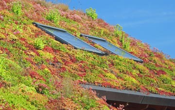 Cullaville living roof systems