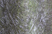 Cullaville fibreglass roof work